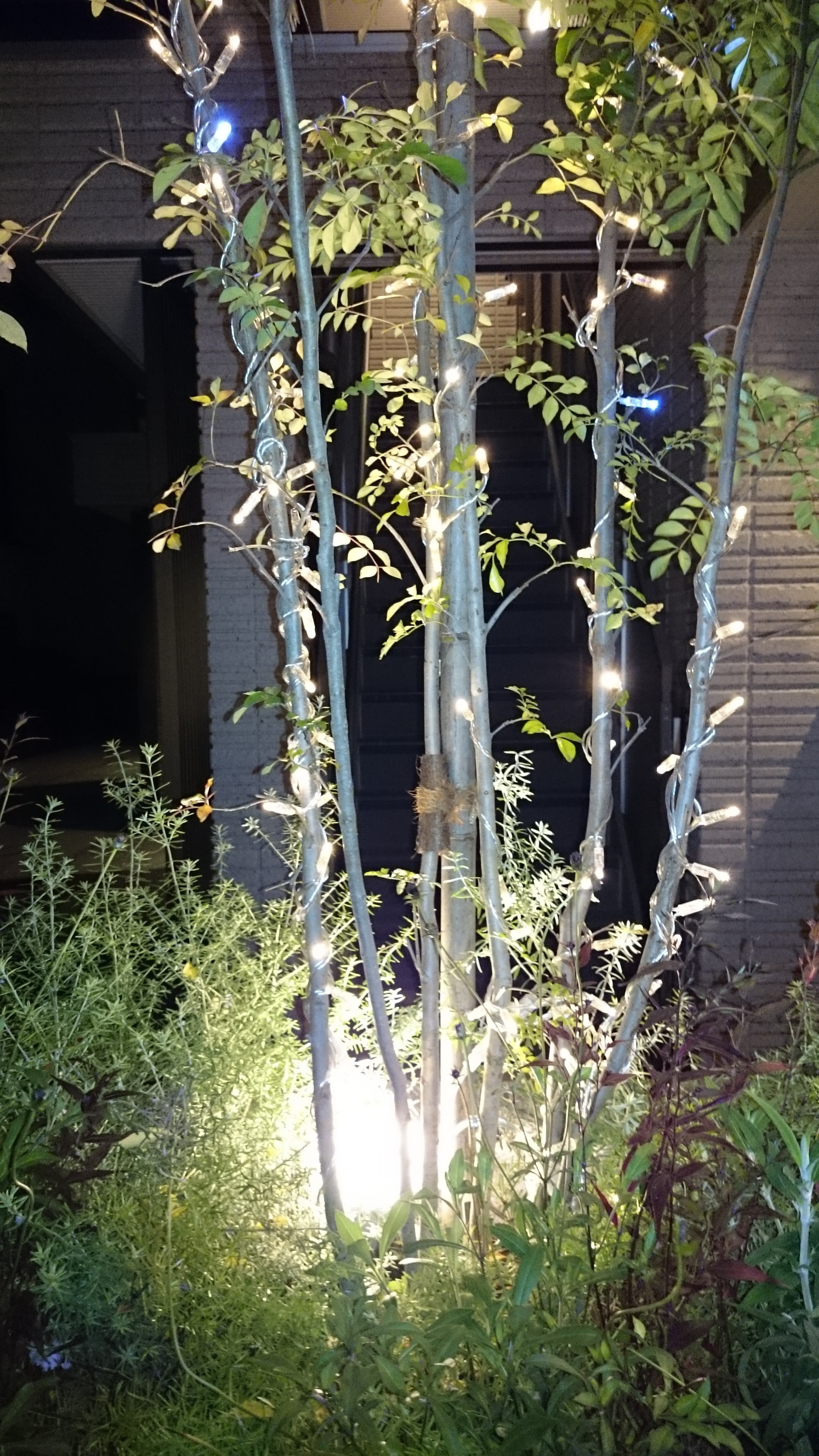 �N���X�}�X����